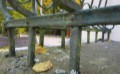 Nächster Fall.
